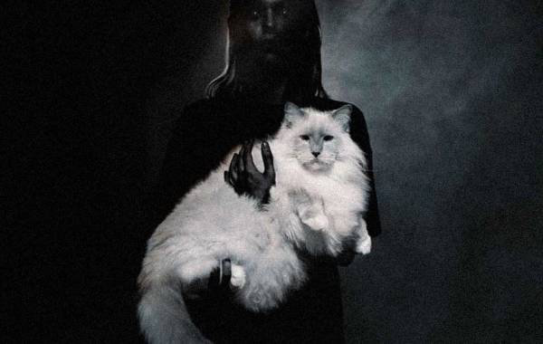 cardiff by the sea: four novellas