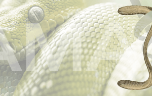 Celestial Timepiece – A Joyce Carol Oates Patchwork